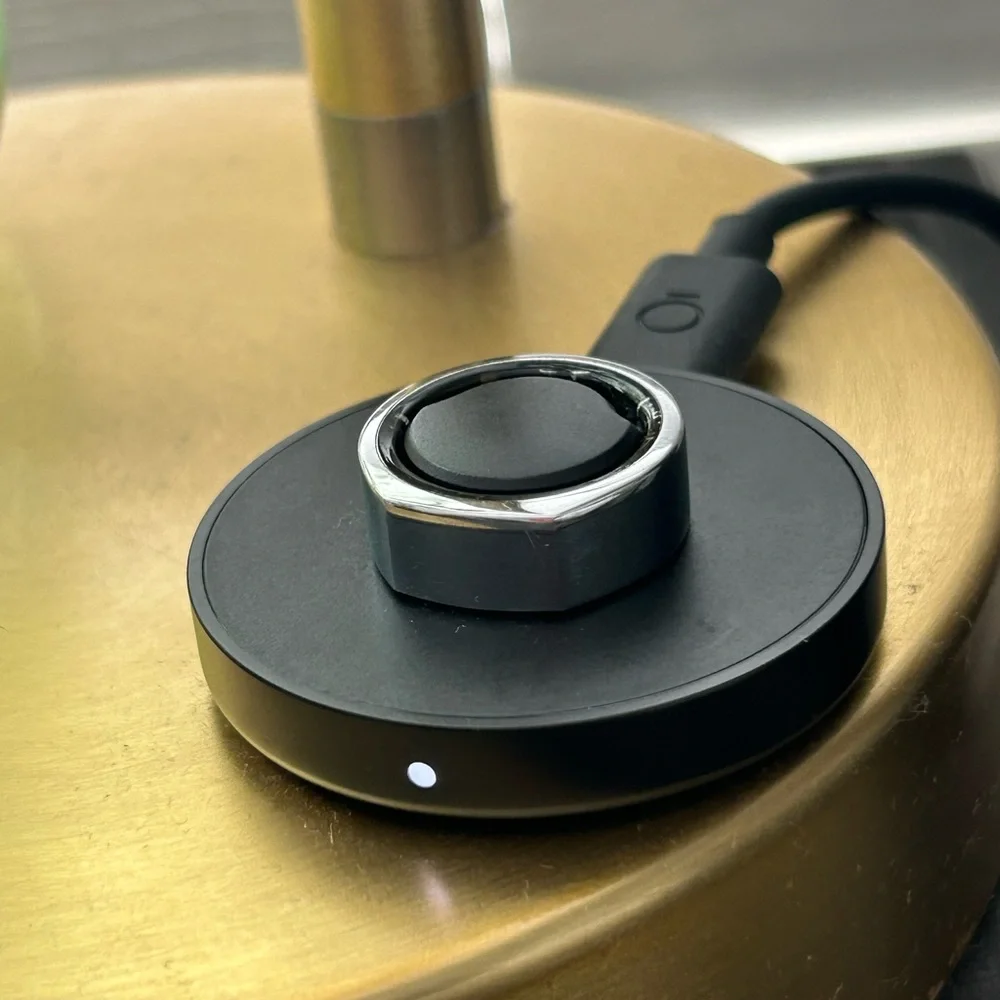 Oura Ring Gen 3 Heritage Silver and Black interior